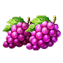 Grape Grape