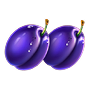 Plum Plum