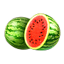 Watermelon Watermelon